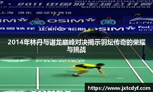 2014年林丹与谌龙巅峰对决揭示羽坛传奇的荣耀与挑战